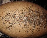 Foto del paso 5 de la receta: Pan integral