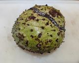 Foto langkah ke 1 dari resep (Trik) Sirsak kupas tanpa biji.
