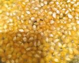 Foto langkah ke 2 dari resep Pop Corn simple.