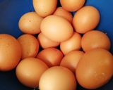 Une image de l'étape 1 de Omelette a la djamicoo 🥚🌶️🍅🤸‍♀️.