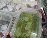 Foto langkah ke 4 dari resep Ide Takjil Simpel: Jeli Nata De Coco.