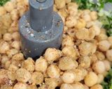 Foto del paso 1 de la receta: Falafel al horno o freidora de aire 🧆 ♡