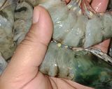 Foto langkah ke 1 dari resep Udang goreng mentega.