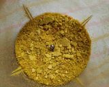 Foto del paso 3 de la receta: Mate con azúcar de naranja