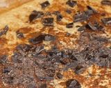 Foto del passaggio 5 della ricetta Girelle di Pasta Brioche Integrali con Olio EVO