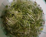 Hình bước làm 1 của món Salad cá ngừ dầu dấm