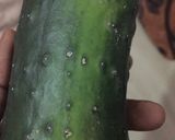 A picture of step 1 of Cucumber rolls.