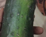 A picture of step 1 of Cucumber rolls.