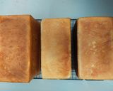 Foto langkah ke 7 dari resep No knead White Bread (Roti Tawar Tanpa Ulen).