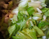 A picture of step 1 of Beef and Cabbage Batch 4.