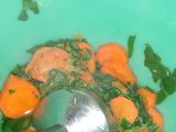 Rapiditas/tacos de acelga y zanahoria