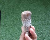 Foto langkah ke 4 dari resep Es lilin coklat.
