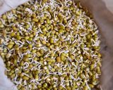A picture of step 1 of Mung bean Sprouts idli.