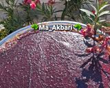 عکس مرحله 3 از دستور 🌺لواشک آلوچه قرمز