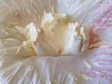 Queso crema de kéfir