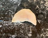 Foto del paso 13 de la receta: Tortellini estilo Ruso (Pelmeni) 🇷🇺