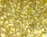 A picture of step 2 of Sprouts chat.
