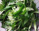 Foto langkah ke 1 dari resep Kangkung cempeding.