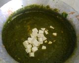 पालक पनीर (Palak Paneer recipe in Hindi) रेसिपी चरण 12 फोटो