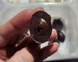 Foto del paso 17 de la receta: 🪺Mini huevitos de Pascua rellenos - Chocolate blanco y pistachos - Chocolate semiamargo con Nutella🪺