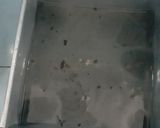 Foto langkah ke 1 dari resep Puding Cappucino Cincau.