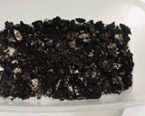 Foto langkah ke 1 dari resep Puding coklat Oreo.