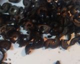 A picture of step 5 of Layer upon Layer.