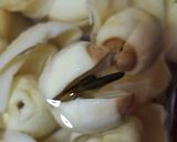 A picture of step 2 of White fungus soup (dessert).
