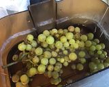 Une image de l'étape 3 de Compote pommes, pêches de vigne et raisins du jardin.