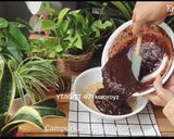 Gambar langkah 5 resipi Banana oatmeal cake.