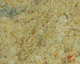 Foto langkah ke 2 dari resep Nasi Goreng Teri,Pete dan Kubis.