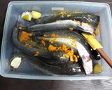 Foto langkah ke 1 dari resep Lele Bakar Teflon.