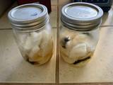 Pickled Daikon radish