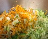 Foto del paso 2 de la receta: Sopa de verduras ralladas - 3