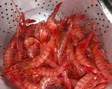 Foto del paso 1 de la receta Gamba roja fresca a la plancha