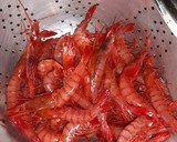 Foto del paso 1 de la receta: Gamba roja fresca a la plancha