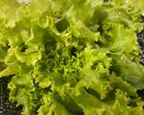 ก๋วยเตี๋ยวหมูสับ วิธีทำสูตร 1 รูป