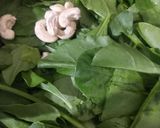 A picture of step 1 of Kaju palak pakore.