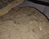 Foto del paso 1 de la receta: Pan de masa madre!!
