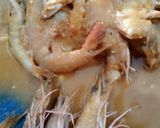Foto langkah ke 4 dari resep Udang bakar (sederhana).