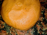 Alfajores artesanales!!!
