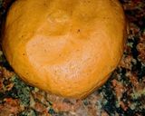 Foto del paso 3 de la receta: Alfajores artesanales!!!