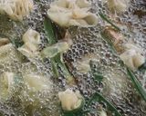 A picture of step 11 of Samosas meat pouch.