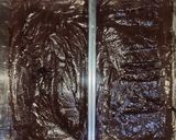 Foto langkah ke 3 dari resep Fudgy Brownies.