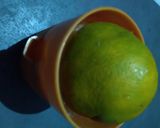 સ્વીટ લેમન જ્યુસ (Sweet Lemon Juice Recipe in Gujarati) રેસીપી સ્ટેપ2ફોટો