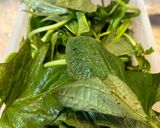 Hình bước làm 1 của món Rau Lang Xào Tỏi Tóp Mỡ