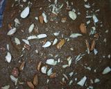 A picture of step 6 of Mohan thal.