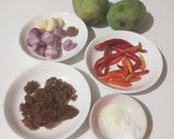 Foto langkah ke 1 dari resep Sambal mangga.