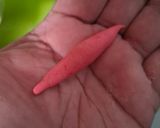 Foto langkah ke 7 dari resep Klanting Merah Putih.