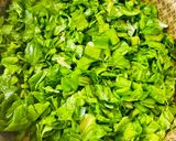 Foto del paso 1 de la receta: SALSA MUY CREMOSA DE ACELGA (para acompañar pastas)